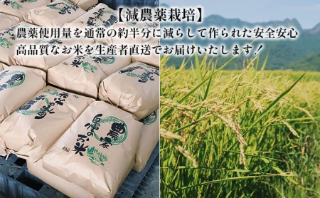 【令和7年度】北海道 富良野産 ゆめぴりか 減農薬 10kg 米 (山本農園) お米 ご飯 ごはん 白米 定期 送料無料 北海道 富良野市 道産 直送 ふらの