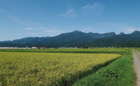 【令和7年度】北海道 富良野産 ゆめぴりか 減農薬 10kg 米 (山本農園) お米 ご飯 ごはん 白米 定期 送料無料 北海道 富良野市 道産 直送 ふらの
