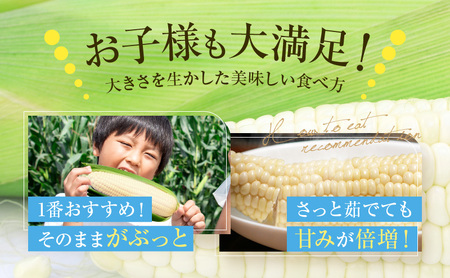 2026年7月中旬～発送】北海道 富良野産 ホワイトコーン