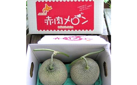 【2026年夏発送】北海道 富良野メロン 2Lサイズ 2玉 計3kg以上 メロン フルーツ 果物