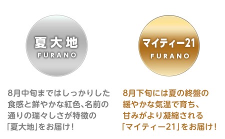 先行予約【食べ比べ】2026年夏発送 富良野産 大玉 スイカ2L 各1玉(夏大地・マイティ21) 北海道 ふらの すいか 西瓜 夏 フルーツ ふらの 甘い 糖度 大きい 大だま セット 別送 (畠山農園)