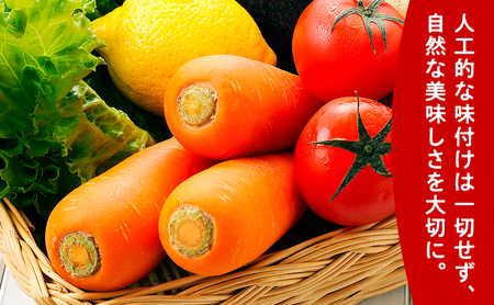 ふらの にんじん100 160g×30本入  (ジュース 野菜ジュース 飲み物 缶 北海道 送料無料 道産 富良野市 ふらの)