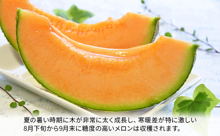【2026年8月下旬より発送】北海道 富良野 メロン 赤肉 約2.1kg×1玉 (吉田農園) メロン フルーツ 果物 新鮮 甘い 贈り物 ギフト 道産 ジューシー おやつ ふらの ブランド 夏