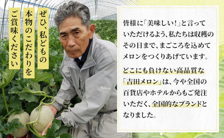 【2026年8月下旬より発送】北海道 富良野 メロン 赤肉 約2.1kg×1玉 (吉田農園) メロン フルーツ 果物 新鮮 甘い 贈り物 ギフト 道産 ジューシー おやつ ふらの ブランド 夏