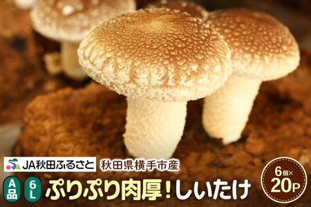 しいたけ A品 6L（約150g）×20パック