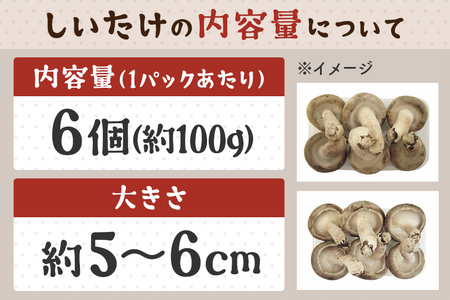 しいたけ A品 6M（約100g）×30パック