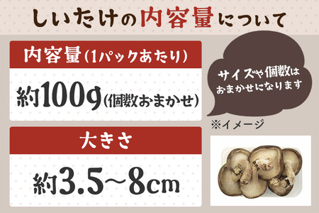 しいたけ 無印品 LS(約100g)×30パック