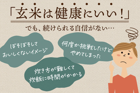 【玄米】米 金のいぶき 4kg(2kg×2袋) 令和7年産