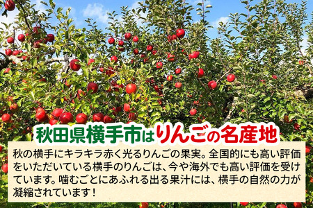 12月中旬より発送 サンふじ【秀品】約5kg(14~20玉)りんご 林檎