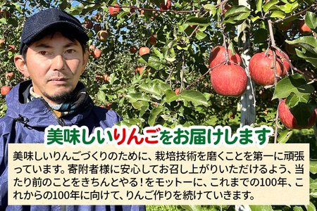 12月中旬より発送 サンふじ 【特秀】 約5kg(14~20玉)りんご 林檎