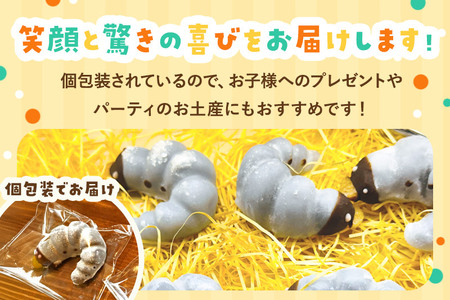 幼虫チョコ10匹セット 小松屋本店 プレゼント インスタ映え お菓子 スイーツ チョコ チョコレート ギフト