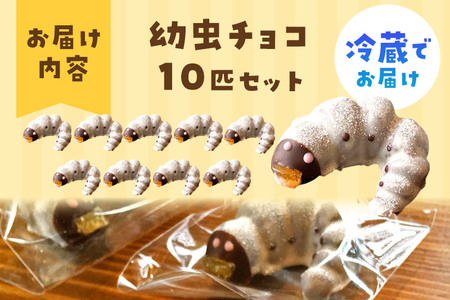 幼虫チョコ10匹セット 小松屋本店 プレゼント インスタ映え お菓子 スイーツ チョコ チョコレート ギフト