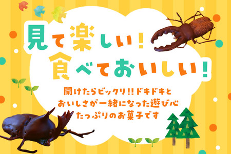 カブトムシの成虫チョコレート＆クワガタチョコレート 小松屋本店 プレゼント インスタ映え お菓子 スイーツ チョコ チョコレート ギフト
