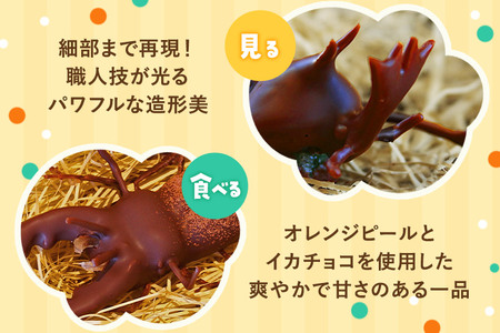 カブトムシの成虫チョコレート＆クワガタチョコレート 小松屋本店 プレゼント インスタ映え お菓子 スイーツ チョコ チョコレート ギフト