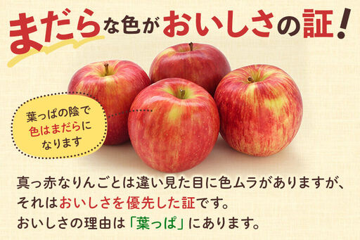 <先行受付 12月下旬より発送>横手産 葉とらずふじ 約5kg