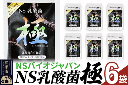 NS乳酸菌「極」(横手市特別パッケージ) 6パック ゆうパケット