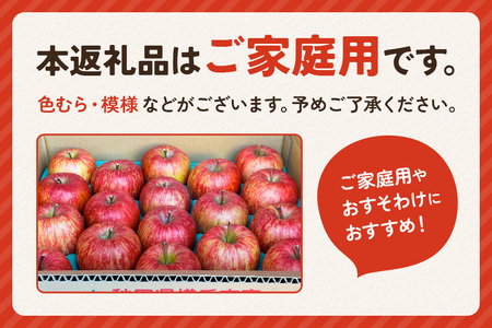 《定期便3ヶ月》樹上完熟サンふじ ご家庭用 約5kg（13～23玉前後）×3回 計15kg 3か月 3ヵ月 3カ月 3ケ月