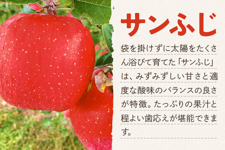 《定期便3ヶ月》樹上完熟サンふじ ご家庭用 約5kg（13～23玉前後）×3回 計15kg 3か月 3ヵ月 3カ月 3ケ月