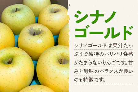 1月中旬より発送 パリパリ食感シナノゴールド ご家庭用 約10kg（28～46玉前後）