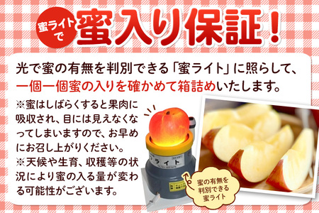 11月下旬より発送 《蜜ライトで蜜入り保証!》葉とらず完熟ふじ 約5kg りんご