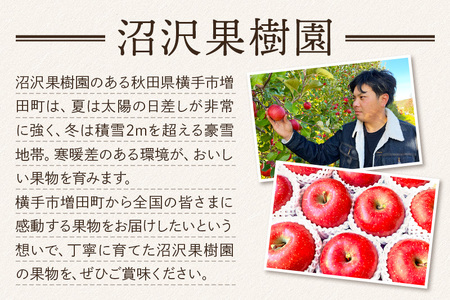 11月下旬より発送 《蜜ライトで蜜入り保証!》葉とらず完熟ふじ 約5kg りんご