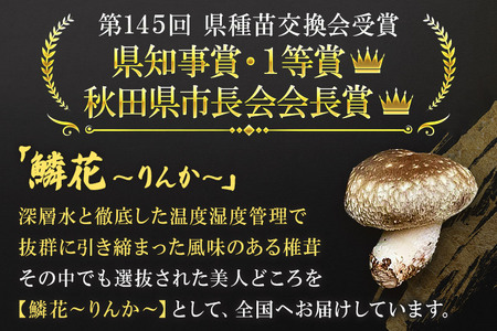 ご自宅でブランド椎茸を栽培！しいたけ栽培キット