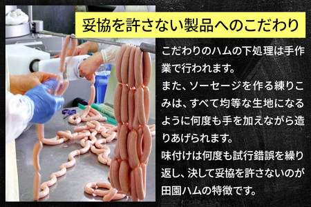田園ハム ギフトセット【DA-E4】ウインナーソーセージ 75g×2・荒挽ウインナー 75g・チョリソー 75g・ボロニアソーセージ 400g・豚はらみくんせい 60g