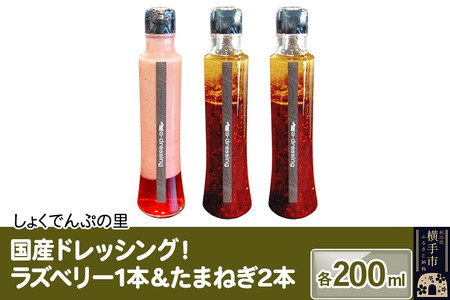国産ドレッシング たまねぎ2本＆ラズベリー1本 各200ml
