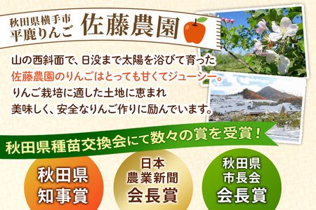 完熟サンふじ秀品 約5kg(16~20個入)りんご