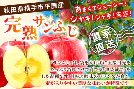 完熟サンふじ秀品 約10kg(32~40個入)りんご