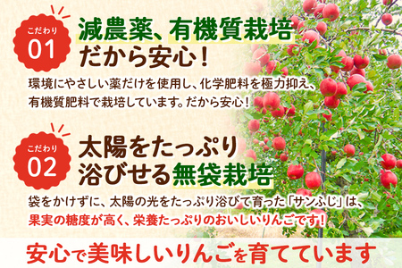 完熟サンふじ秀品 約10kg(32~40個入)りんご
