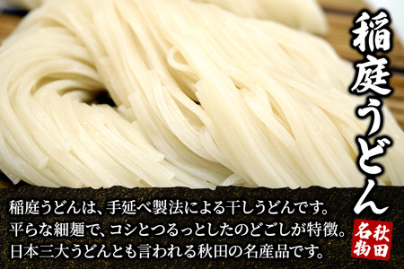 《定期便5ヶ月》稲庭うどん 醍醐味 27cm 200g×2袋 計400g 4人前 ゆうパケット