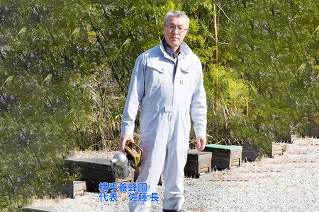 アカシアはちみつボトル 計600g（300g×2本）