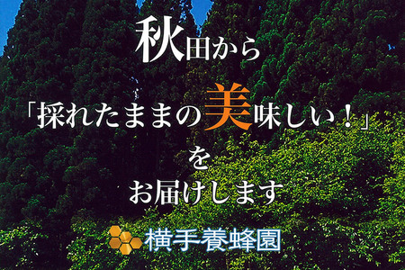 アカシアはちみつボトル 計900g(300g×3本)