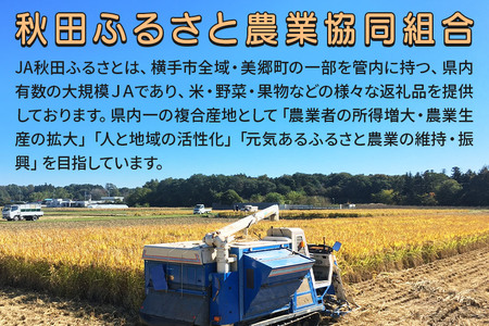 果汁100％ JA秋田ふるさとストレートりんごジュース180g×30P