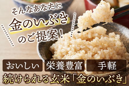 【玄米】令和7年産 金のいぶき 10kg(2kg×5袋)