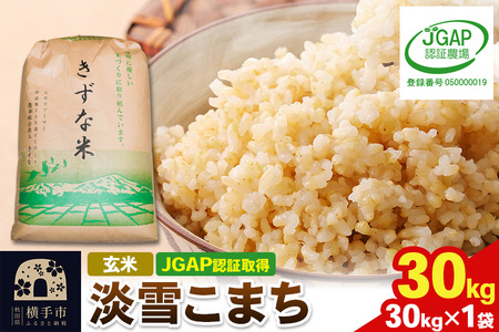 【玄米】令和7年産 秋田県産 淡雪こまち 30kg(30kg×1袋) 【JGAP認証】【秋田県特別栽培農産物認証】 25,900円