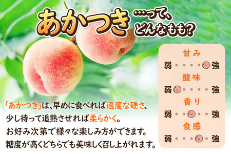 《先行受付!8月上旬より順次発送》夏の太陽をたくさん浴びた桃 あかつき 約3kg(9~13玉前後)