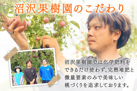 《先行受付!8月上旬より順次発送》夏の太陽をたくさん浴びた桃 あかつき 約3kg(9~13玉前後)