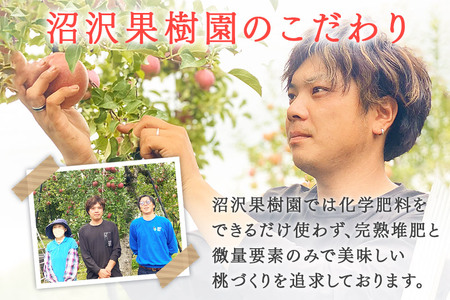 《先行受付！8月下旬より順次発送》モモの王様 川中島白桃 約3kg（9～13玉前後）