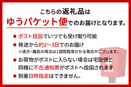 横手やきそば 2食入 ＜ゆうパケット＞
