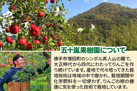 12月中旬より発送 サンふじ【ご家庭向け】約3kg（7～11玉）りんご 林檎