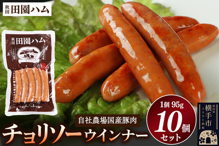 田園ハム チョリソー 95g×10個セット