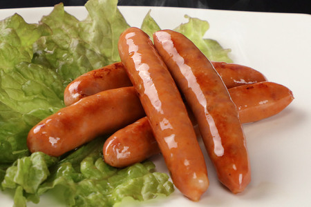 田園ハム チョリソー 95g×10個セット