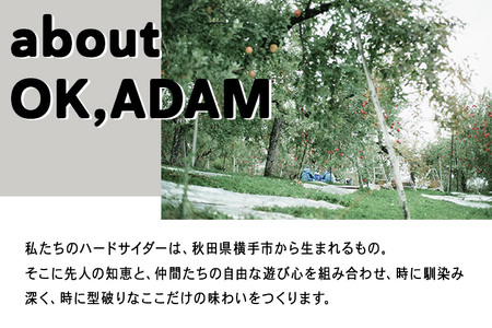 OK,ADAM ハードサイダー（330ml瓶×2本）とりんごジュース（180g×3袋）セット