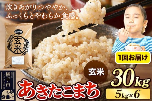 《令和7年産》 米 あきたこまち 30kg（5kg×6袋） 【玄米】 秋田県産