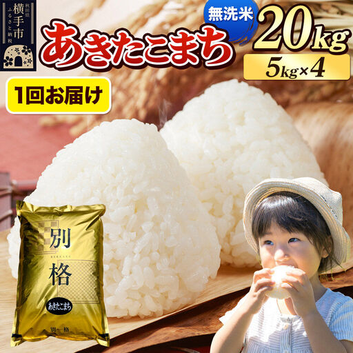 《令和7年産》 米 あきたこまち 20kg（5kg×4袋） 【無洗米】 秋田県産