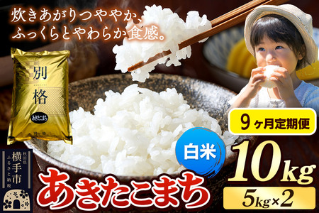 《令和7年産》《定期便9ヶ月》 米 あきたこまち 10kg（5kg×2袋） 【白米】 秋田県産