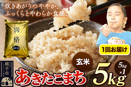 《令和7年産》 米 あきたこまち 5kg 【玄米】 秋田県産