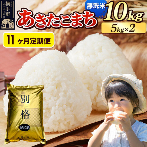 《令和7年産》《定期便11ヶ月》 米 あきたこまち 10kg（5kg×2袋） 【無洗米】 秋田県産